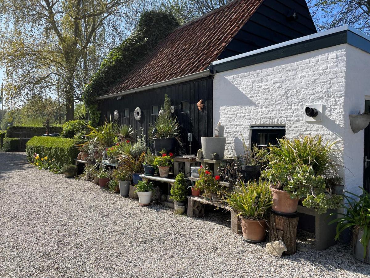 Vakantieoord "De Peppelhoeve" Hotell Koudekerke Exteriör bild